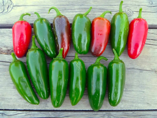 Why Go Raw & Local? Jalapeño Pepper U-Pick