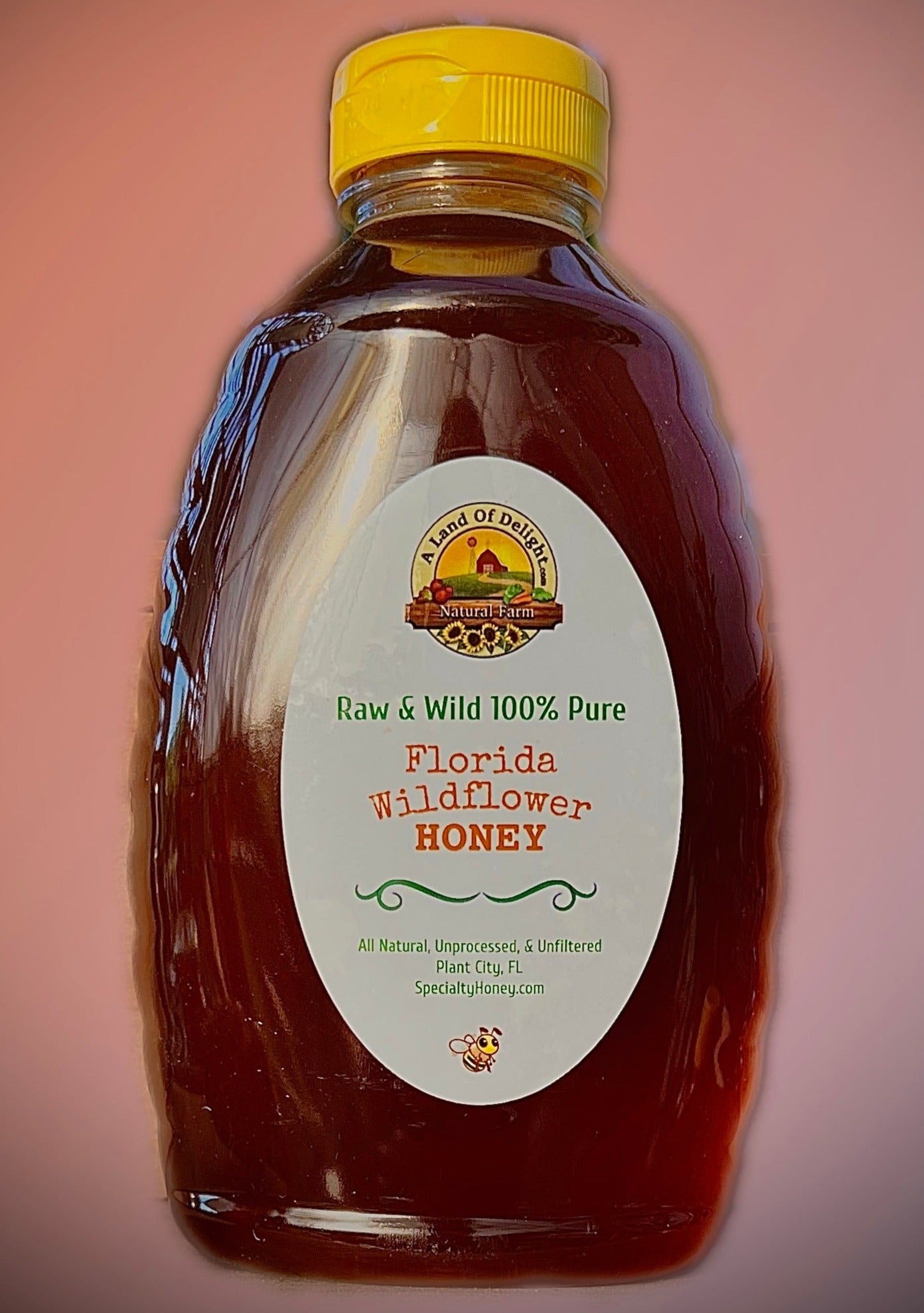 Raw Local Florida Wildflower Honey