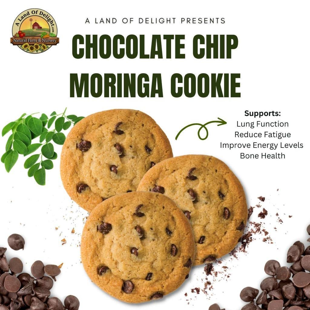 Energy Chocolate Chip Moringa Cookie