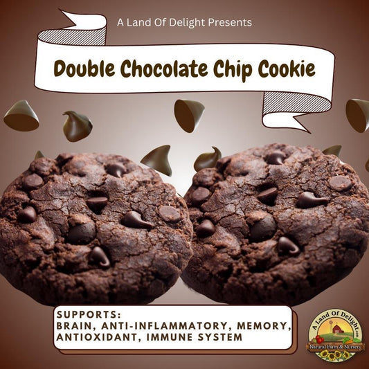 Double Chocolate Chip Cookie