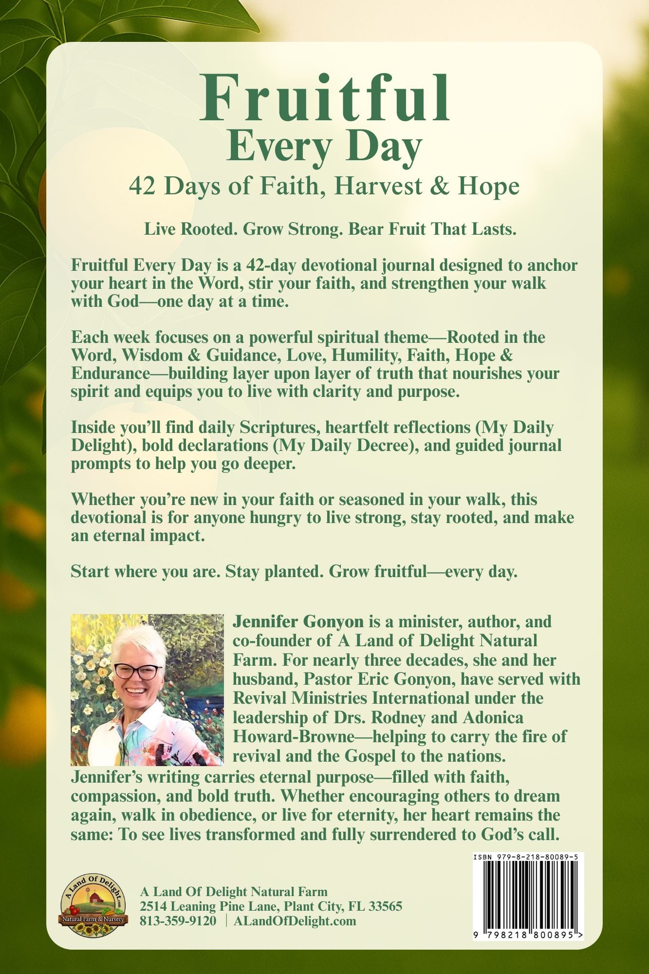 Fruitful Every Day Volume 1 Journal (Paperback)