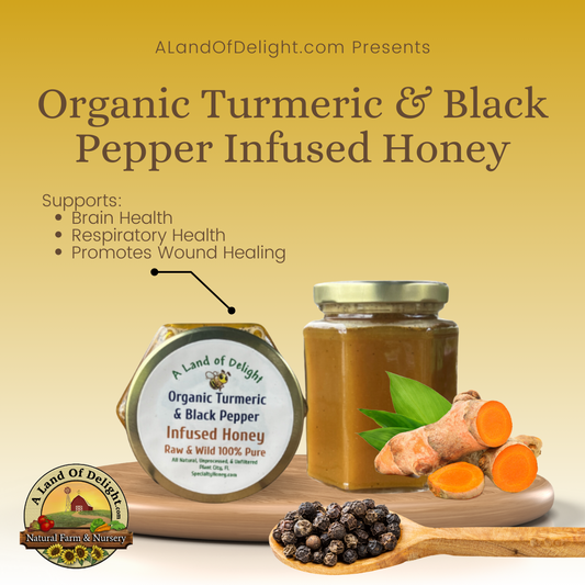 Specialty Gourmet Honey: Organic Turmeric & Black Pepper Infused Raw Honey - 12oz Jar