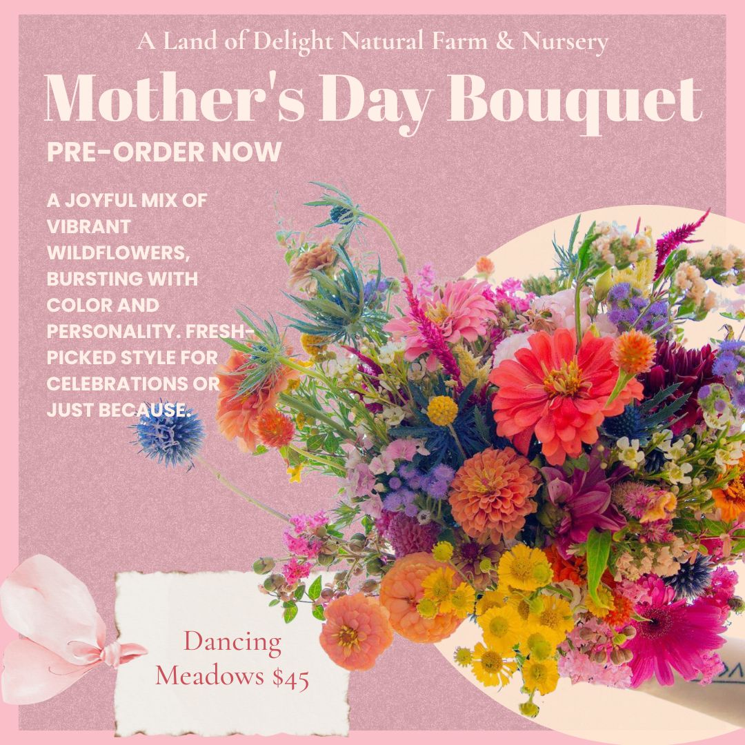 Dancing Meadows Bouquet (Local Pick-Up Only)