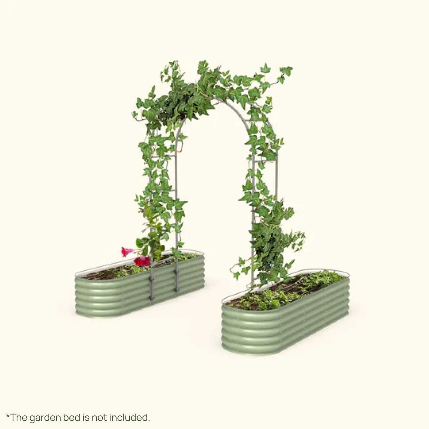 Modular Arched Trellis System Triple Section 6 ft