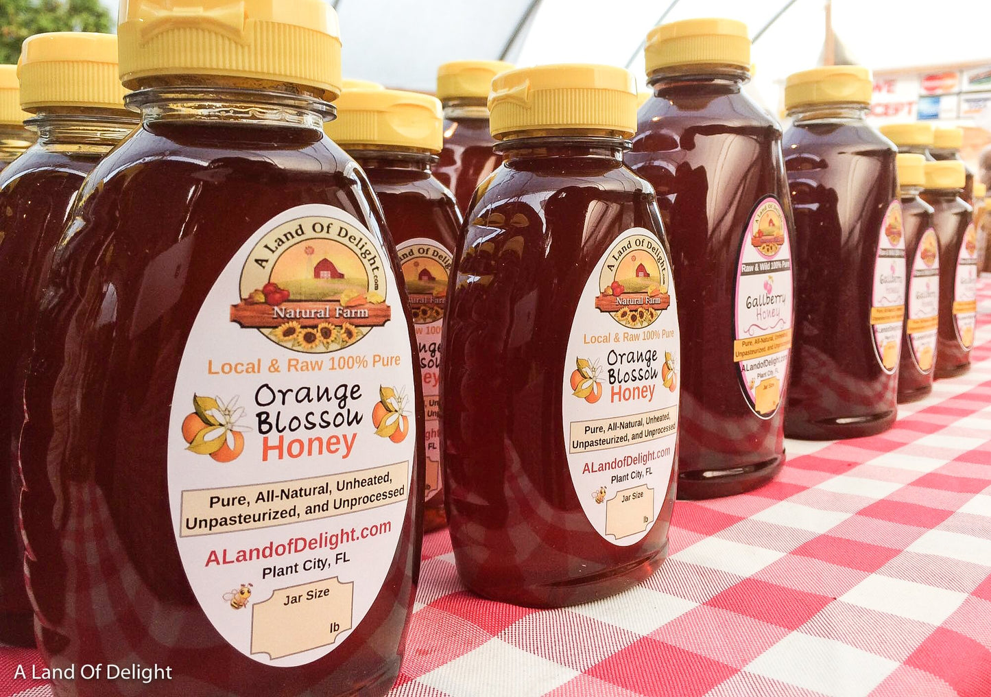 Raw Local Florida Orange Blossom Honey 1lb and 2lb bottles in a row