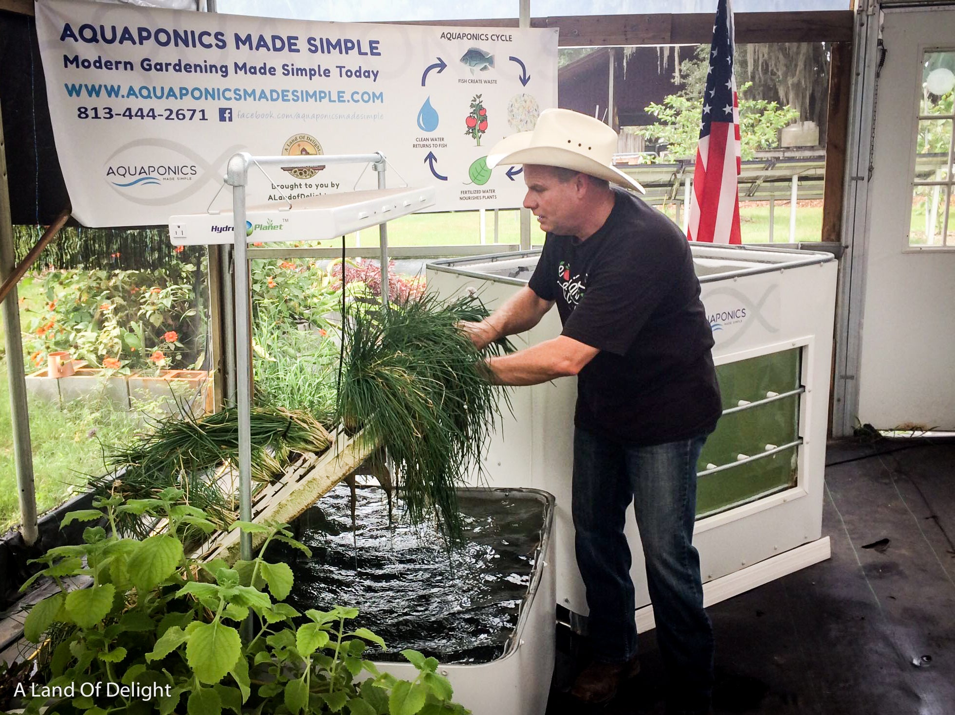 Dr. Eric Gonyon giving Aquaponics Garden System Class, showing plants grown in aquaponics system