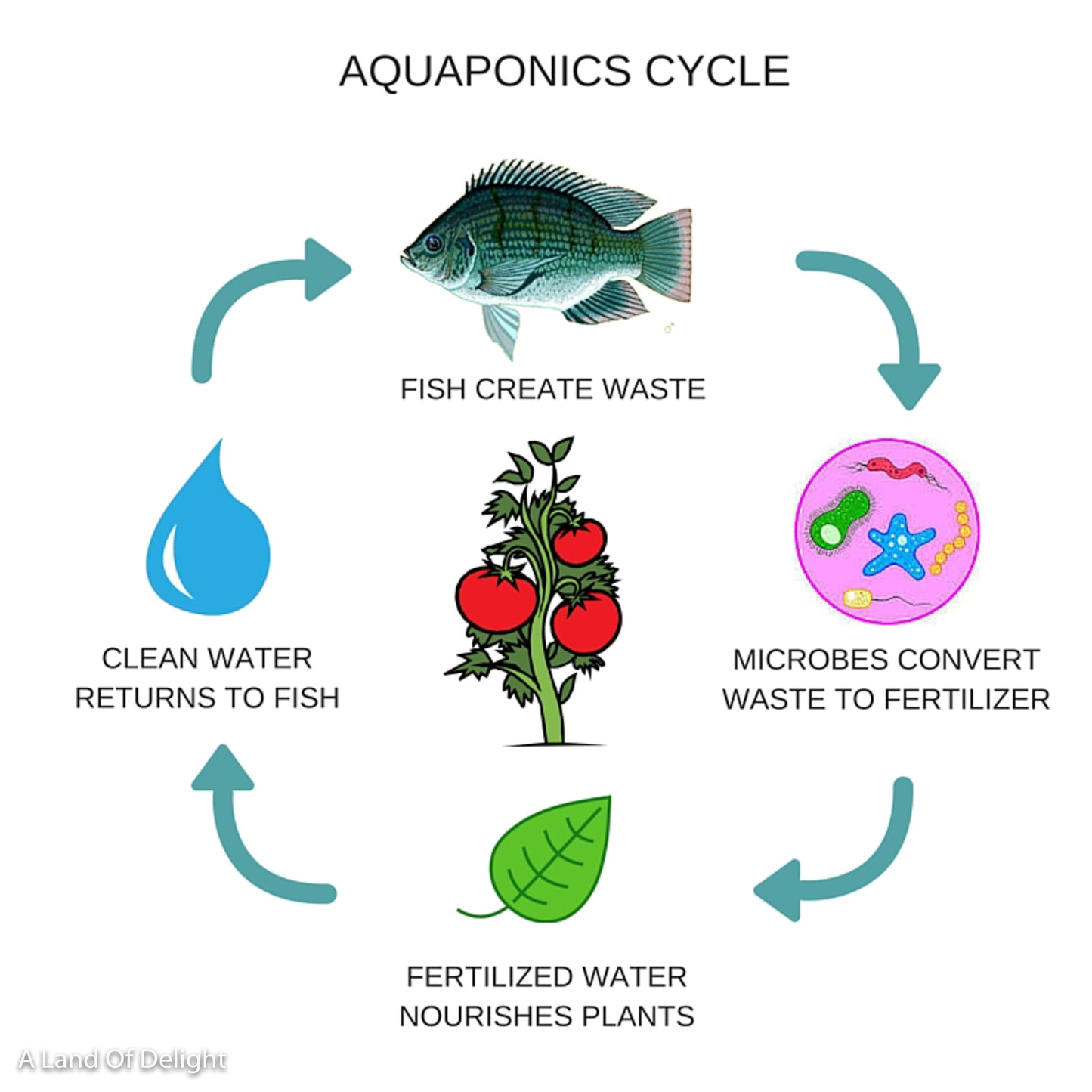 Aquaponics Made Simple Graph