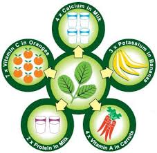 One Planet Nutrition Moringa Capsules Nutrition Graph