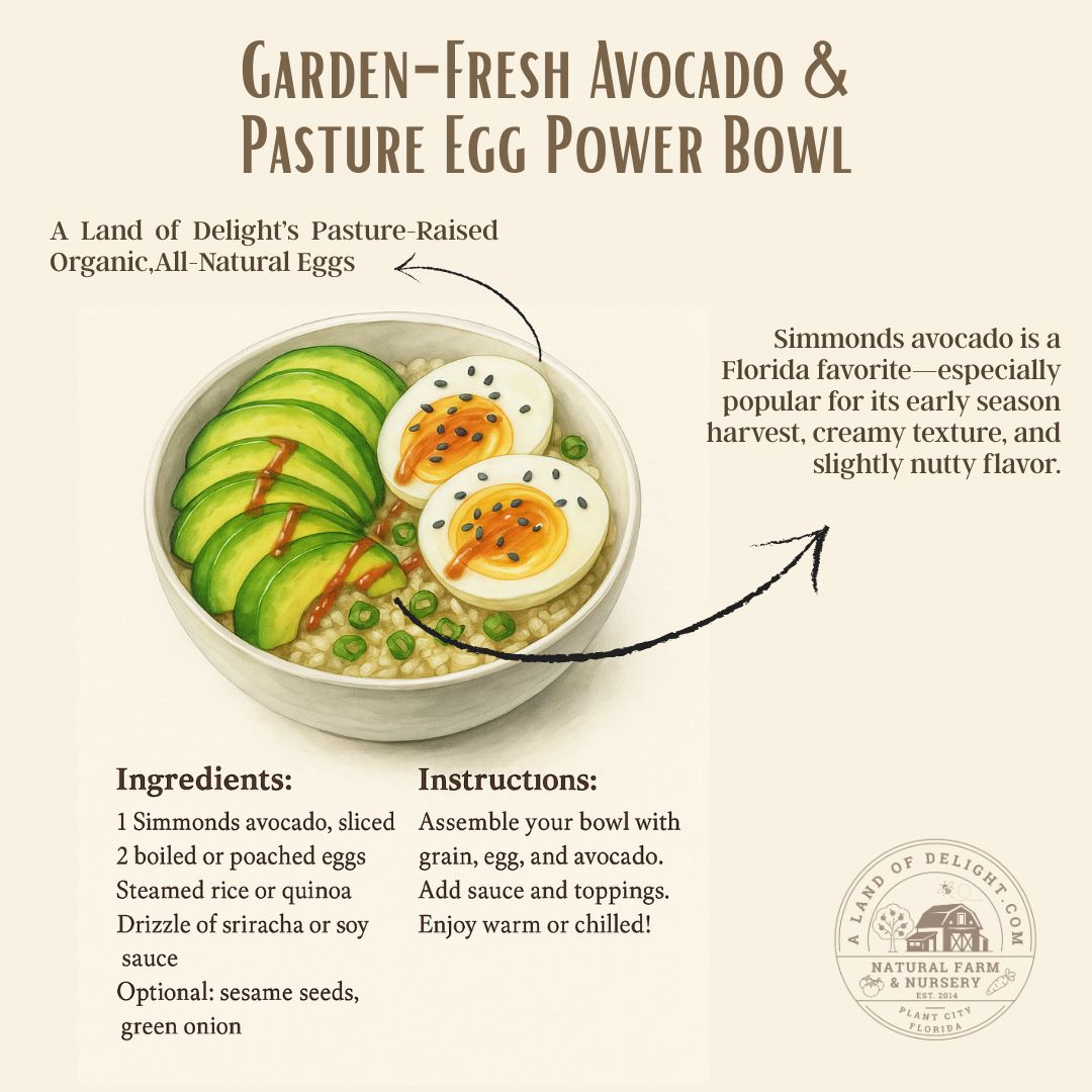 Healthy Recipe of the Day: Avocado & Egg Bowl!
