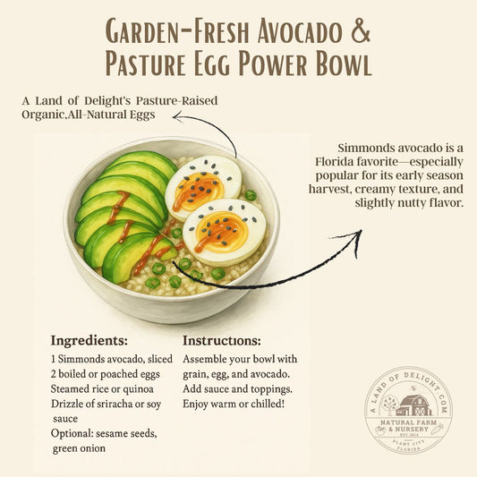 Healthy Recipe of the Day: Avocado & Egg Bowl!