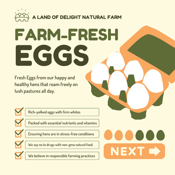 🚩 Keep your family safe from tainted egg supply.