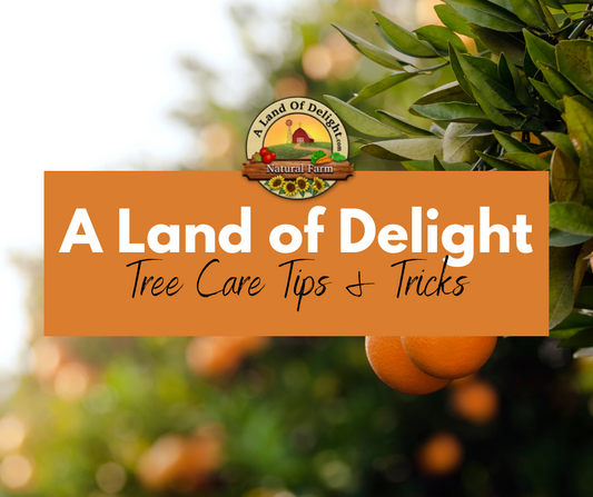A Land of Delight Tree Care Tips & Tricks