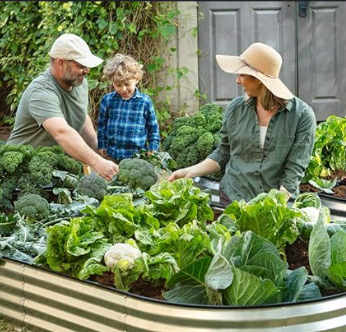 The Art of Self-Sustainability: How to Start Your Own Garden