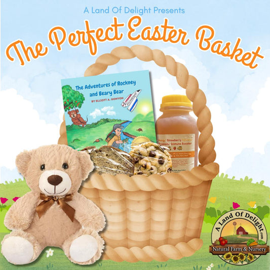 The Perfect Easter Basket 🧺