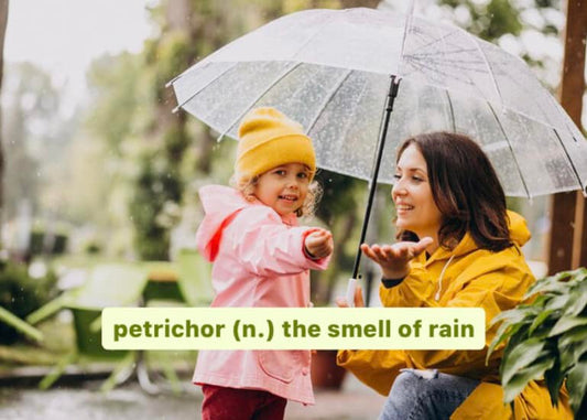 Does your nose need more petrichor?