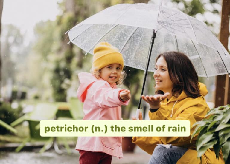 Does your nose need more petrichor?