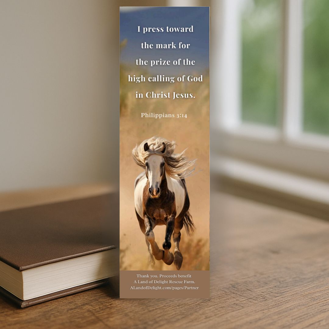 I Press Toward Bookmark