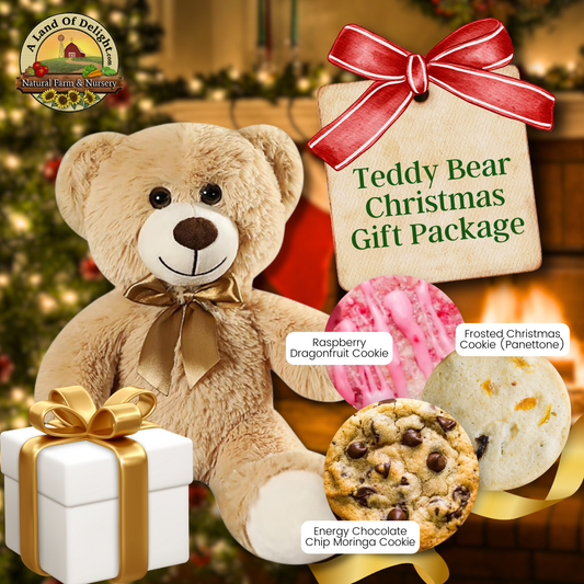 Teddy Bear Christmas Gift Package