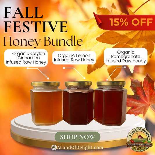 Fall Festive Honey Bundle