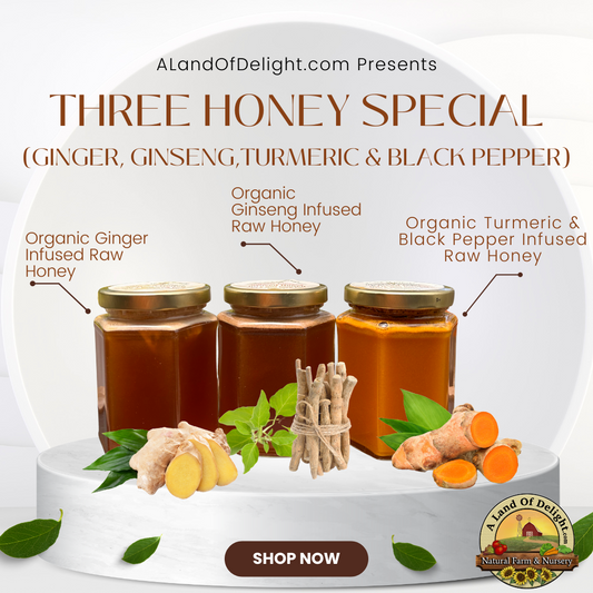 Three Honey Special (Ginger, Turmeric & Black Pepper, Ginseng)