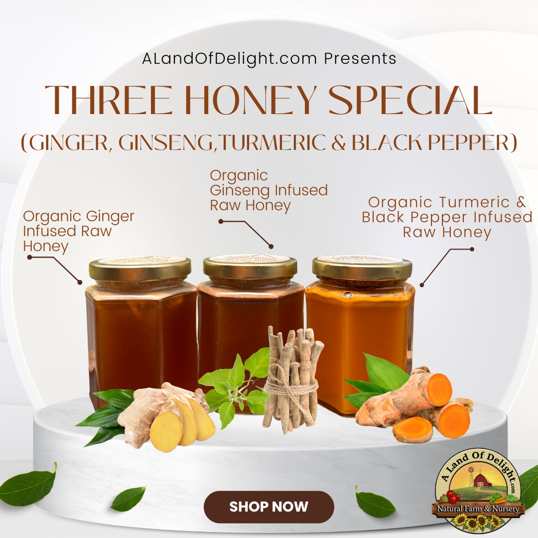 Wellness Honey Trio (Ginger, Turmeric & Black Pepper, Ginseng)