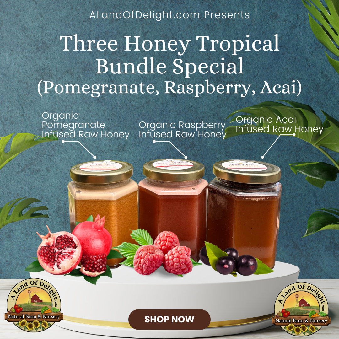 Three Honey Tropical Bundle Special (Acai, Pomegranate, Raspberry)