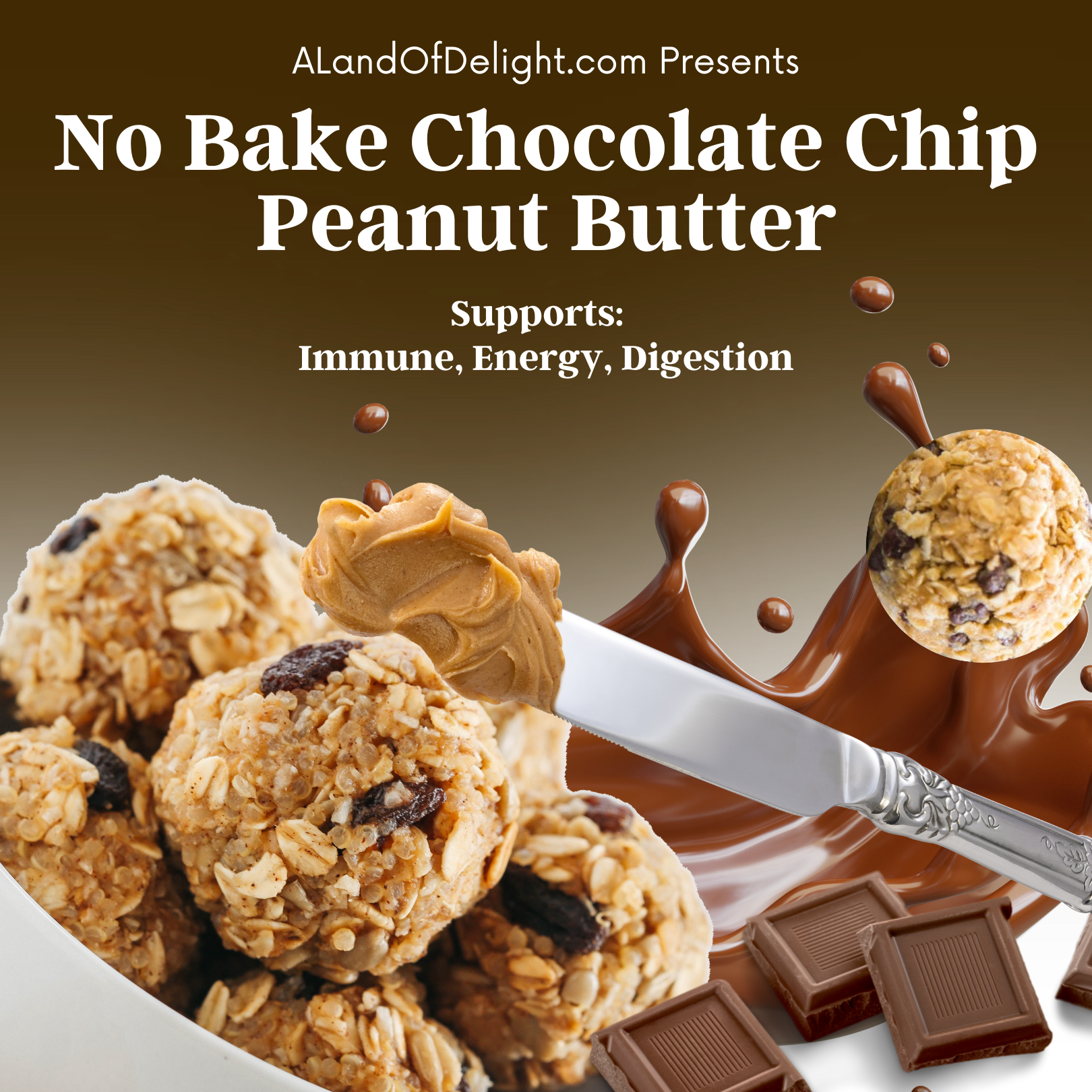 No-Bake Peanut Butter Energy Delights w/ Chocolate Chips