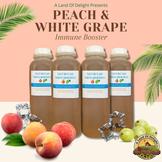 Peach & White Grape Delicious Refreshers 4 Pack