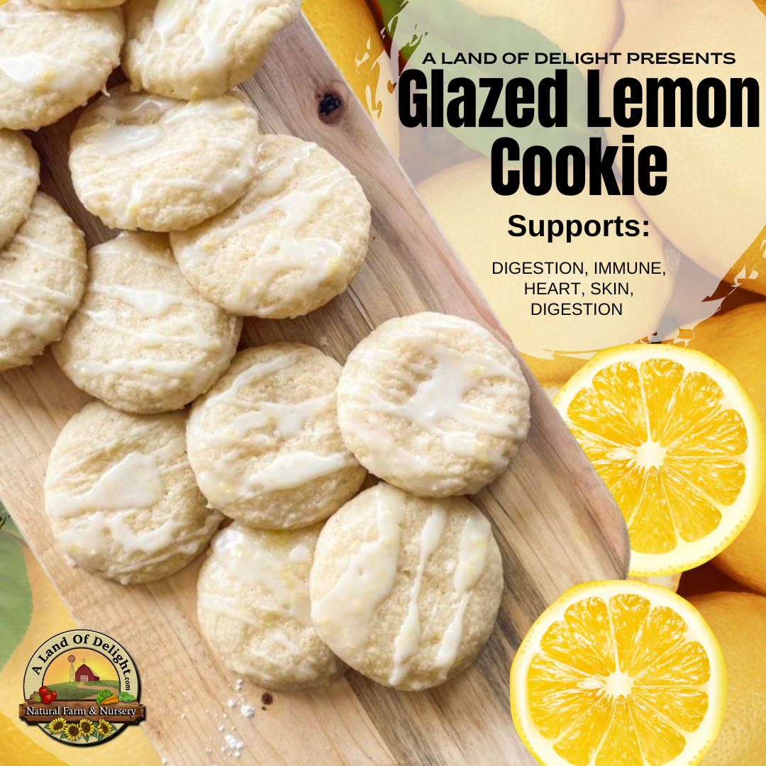 Glazed Lemon Cookie