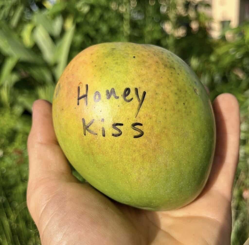 Honey Kiss