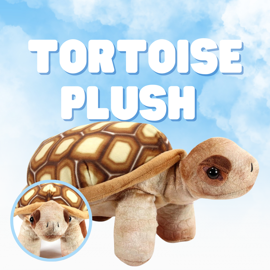 Tortoise Plush