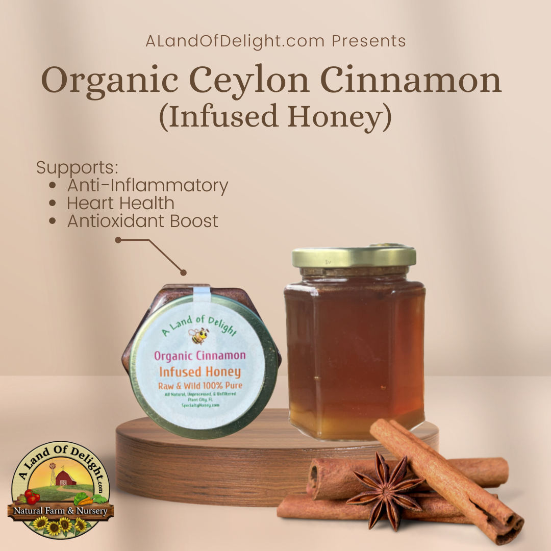 Specialty Gourmet Honey: Organic Ceylon Cinnamon Infused Raw Honey - 12oz Jar