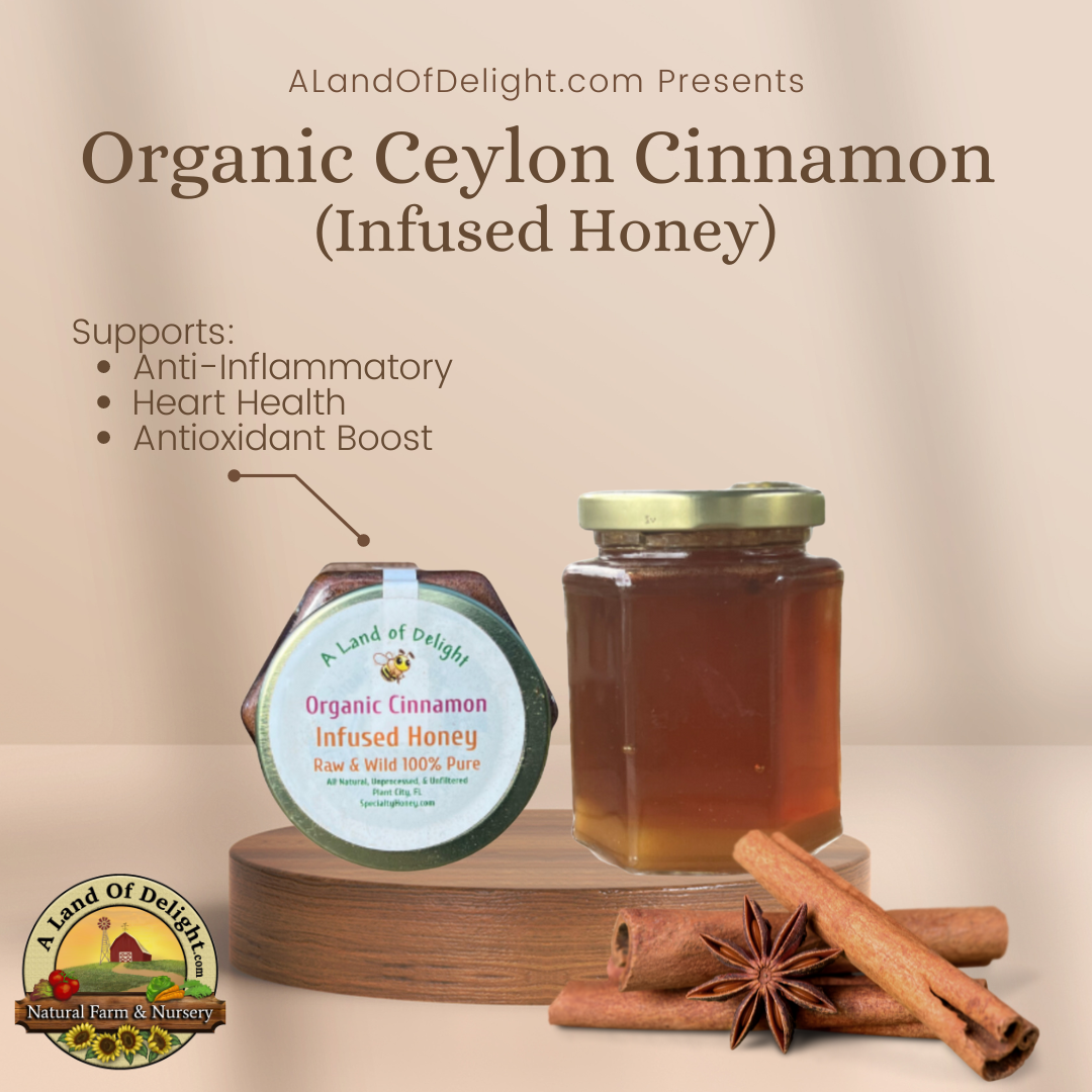 Specialty Gourmet Honey: Organic Ceylon Cinnamon Infused Raw Honey