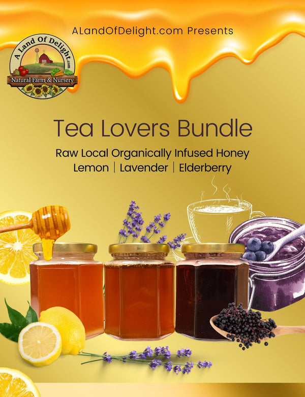 Tea Lovers Bundle (NEW)