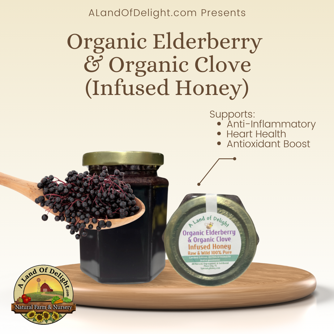 Specialty Gourmet Honey: Organic Elderberry & Organic Clove Infused Raw Honey - 12oz Jar