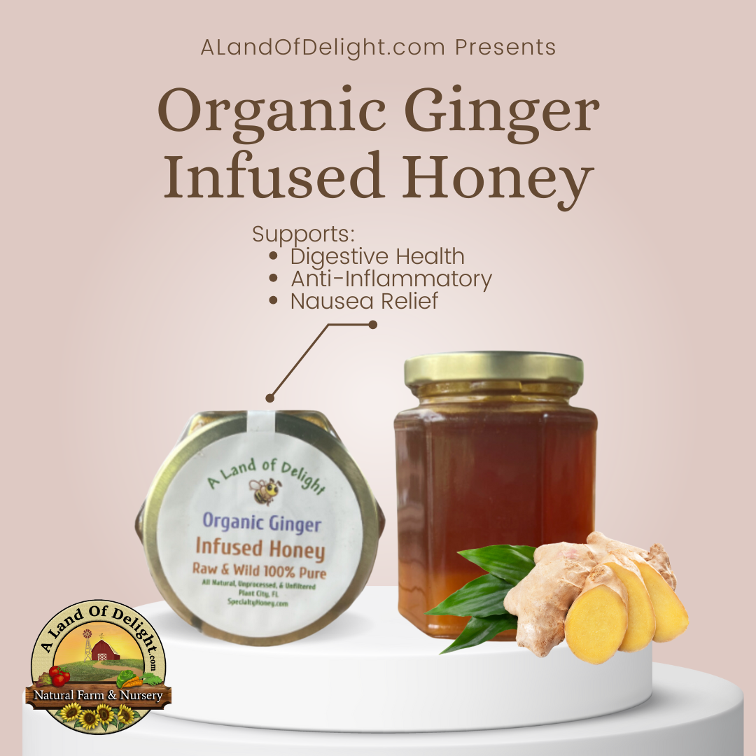 Specialty Gourmet Honey: Organic Ginger Infused Raw Honey