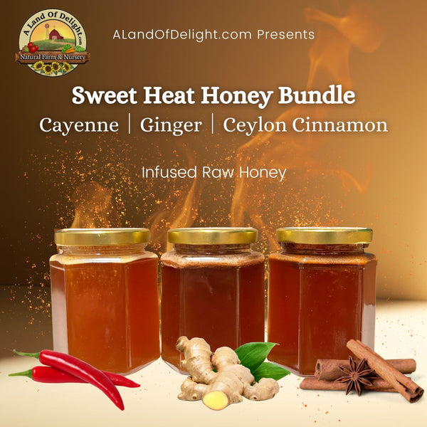 Sweet Heat Honey Bundle (NEW)