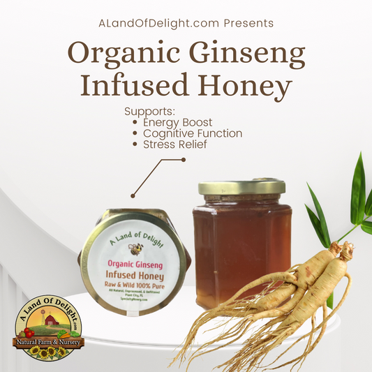 Specialty Gourmet Honey: Organic Ginseng Infused Raw Honey - 12oz Jar