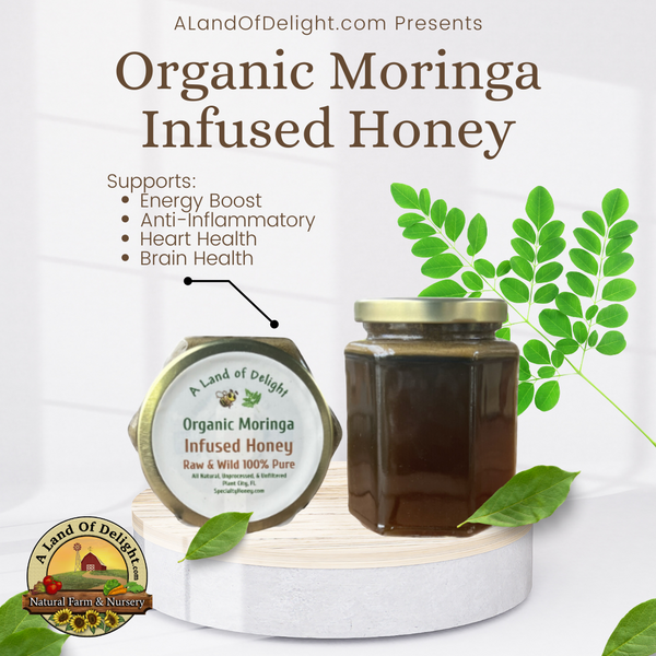 Specialty Gourmet Honey: Organic Moringa Infused Raw Honey - 12oz Jar