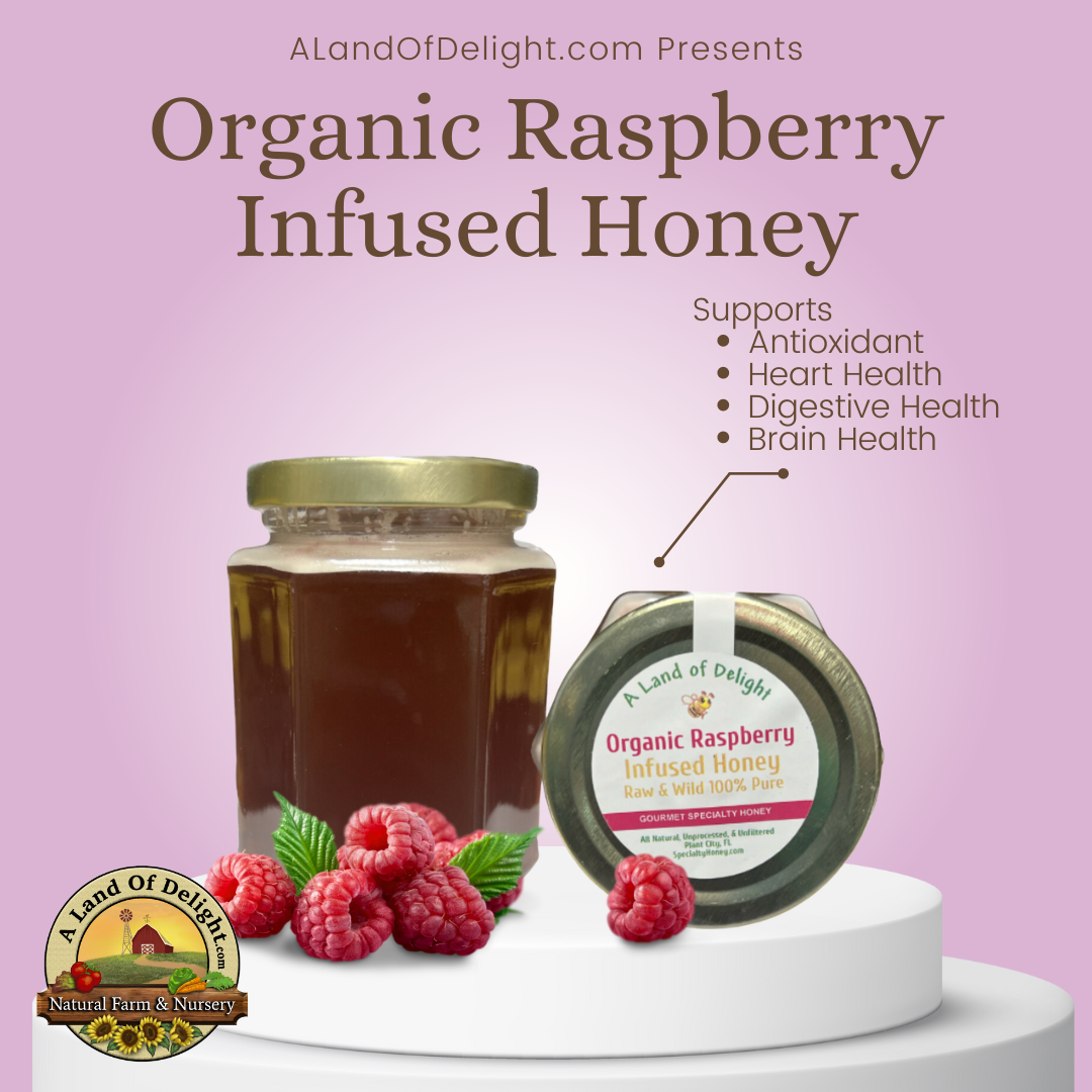 Specialty Gourmet Honey: Organic Raspberry Infused Raw Honey - 12oz Jar