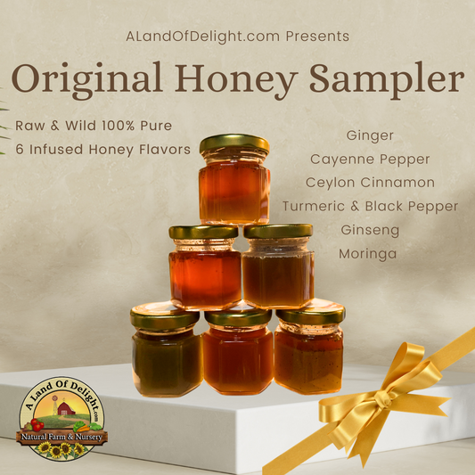 Original Honey Sampler