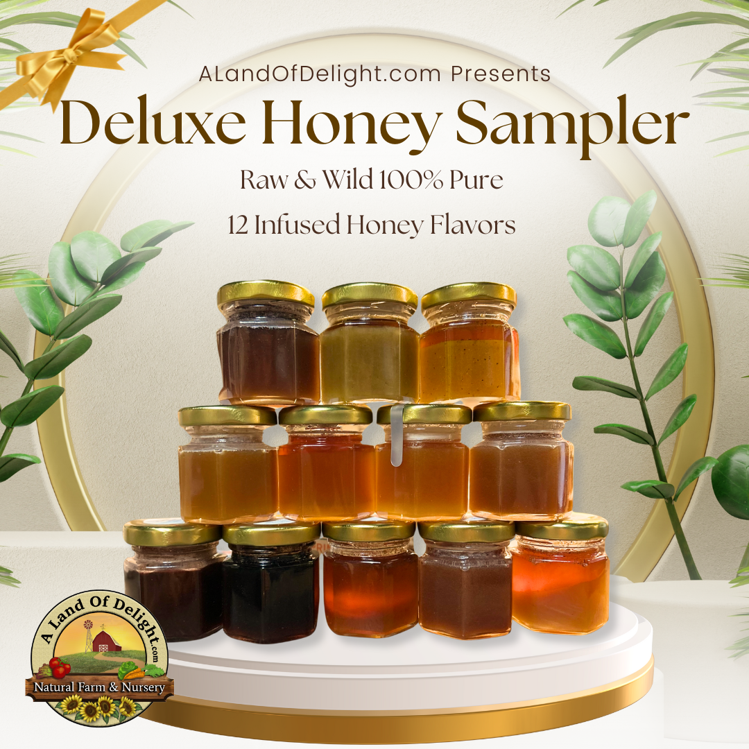 Deluxe Honey Sampler