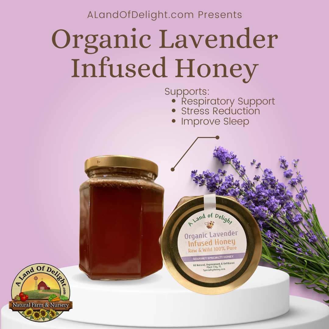 Specialty Gourmet Honey: Organic Lavender Infused Raw Honey - 12oz Jar