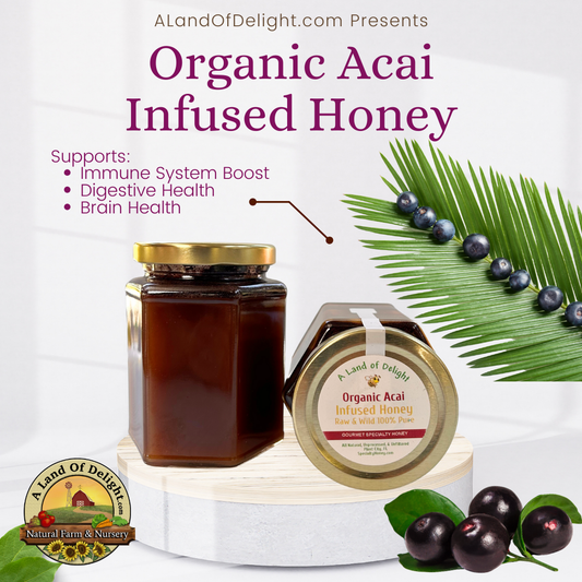 Specialty Gourmet Honey: Organic Infused Acai Raw Honey - 12oz Jar