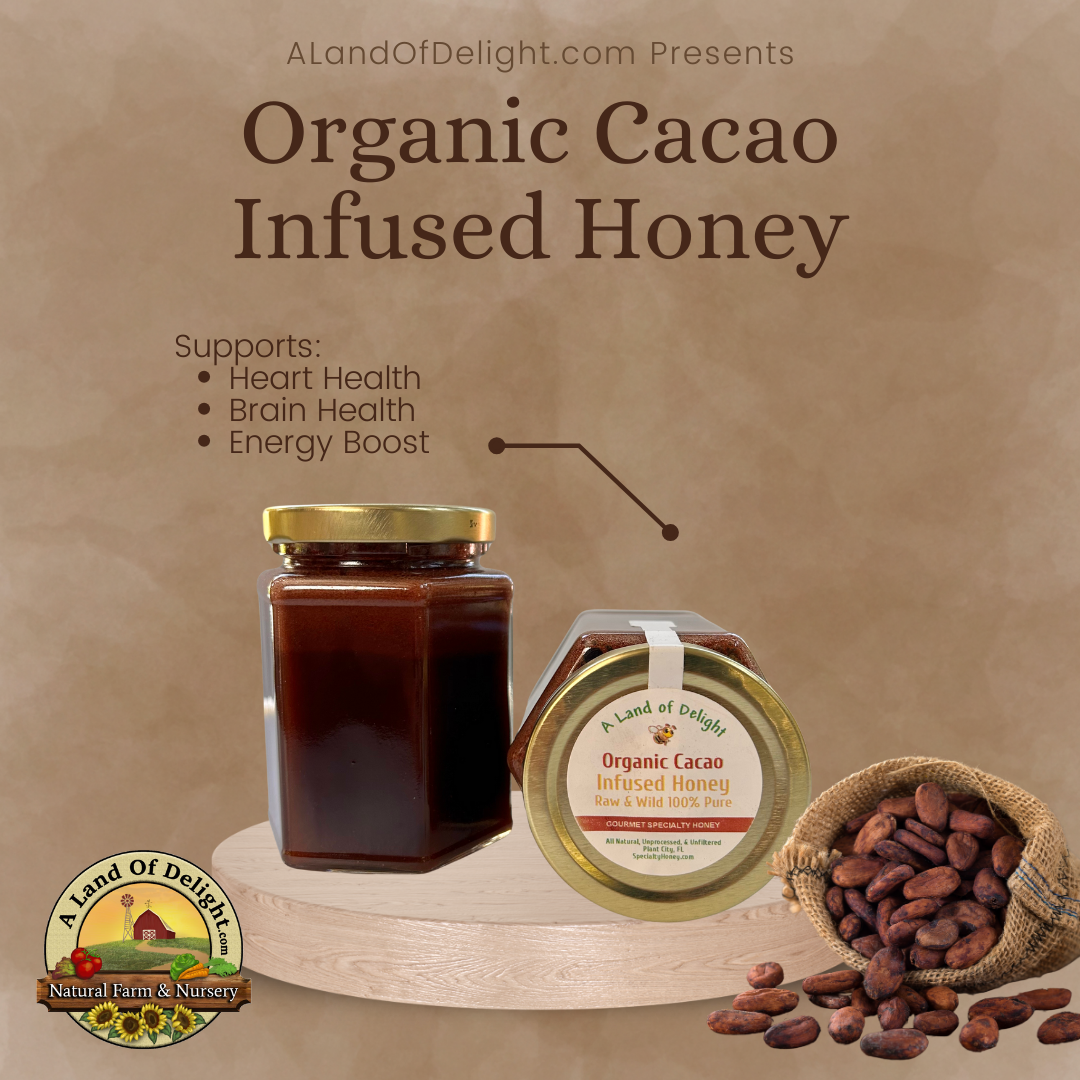 Specialty Gourmet Honey: Organic  Infused Cacao Raw Honey - 12oz Jar