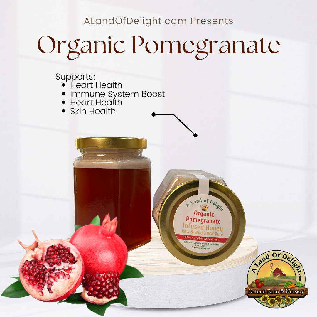 Specialty Gourmet Honey: Organic Pomegranate Infused Raw Honey - 12oz Jar