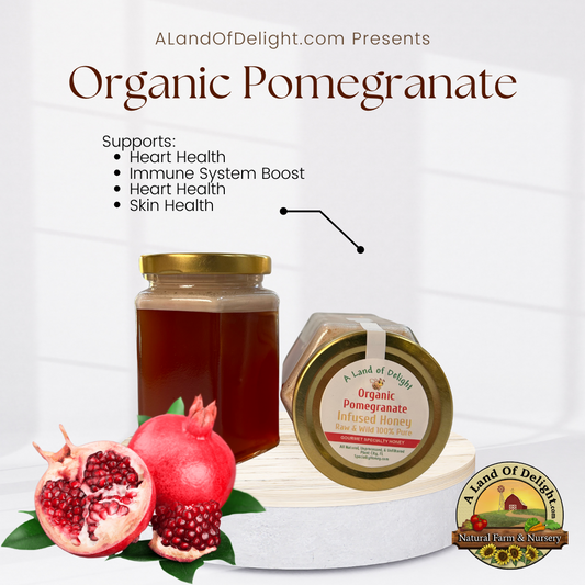 Specialty Gourmet Honey: Organic Pomegranate Infused Raw Honey - 12oz Jar