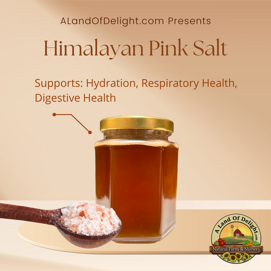 Specialty Gourmet Honey: Organic Himalayan Salt Infused Raw Honey - 12oz Jar