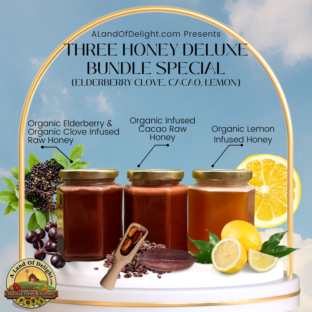Three Honey Deluxe Bundle Special (Lemon, Elderberry Clove, Cacao)