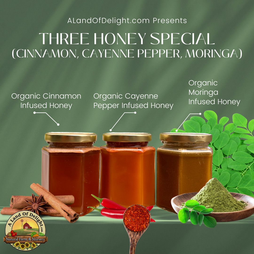 Spice Honey Trio (Moringa, Cinnamon, Cayenne Pepper)